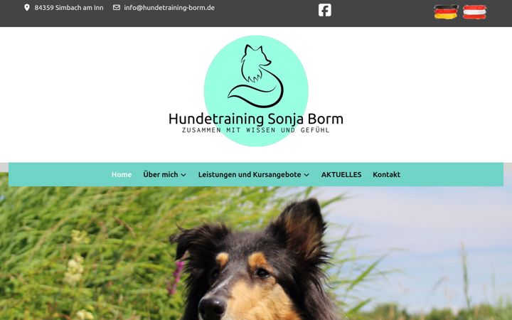 Екранна снимка на hundetraining-borm.de