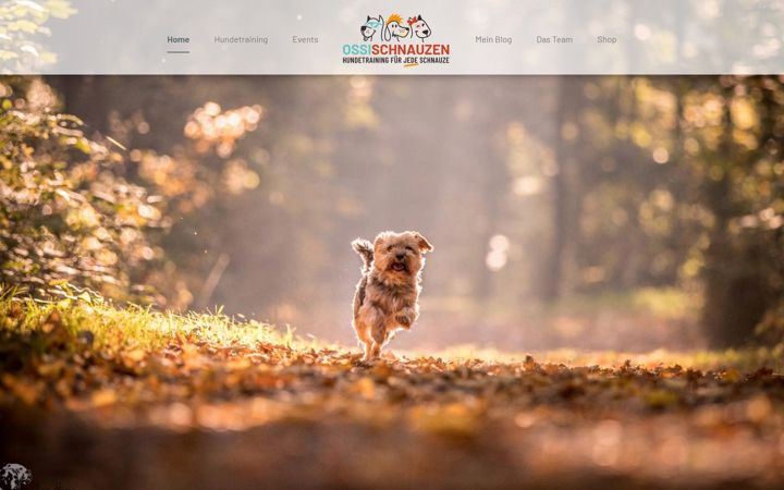 Ekrano kopija hundetraining-ossischnauzen.de