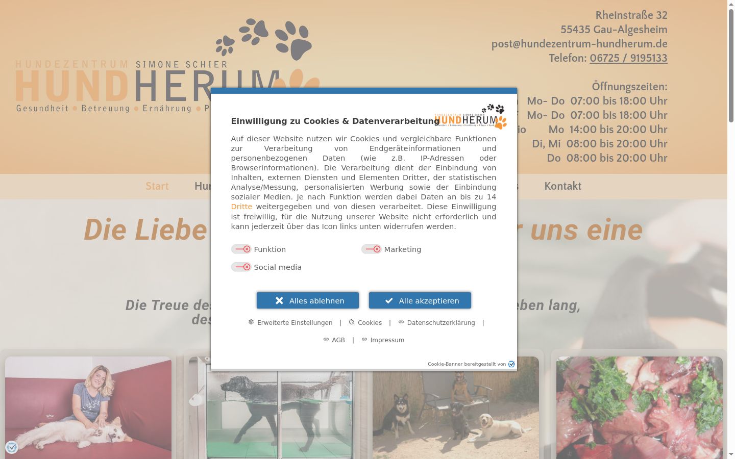 Screenshot of the consent banner shown before any interaction