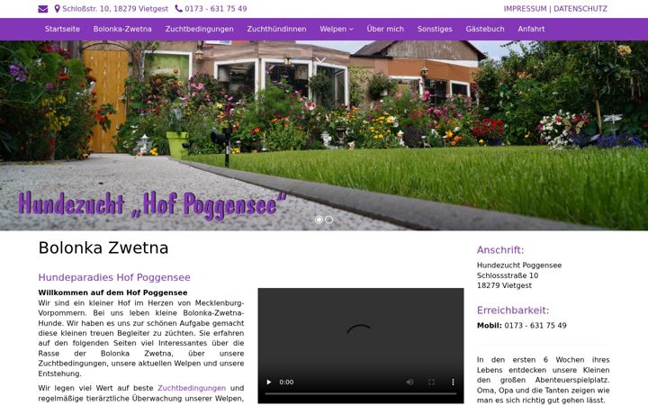 Screenshot of hundezucht-poggensee.de
