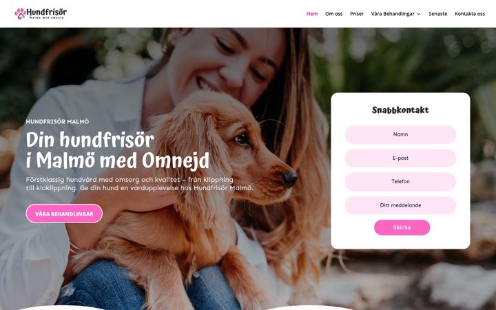 Capture d'écran de hundfrisormalmo.se