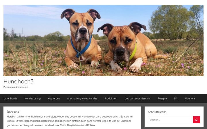 Ekrano kopija hundhoch3-blog.de