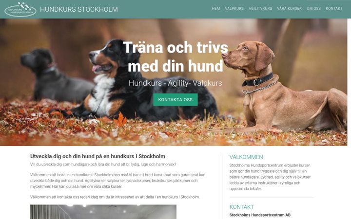 Screenshot of hundkursstockholm.nu