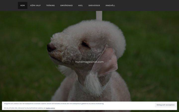 Screenshot of hundmagasinet.com