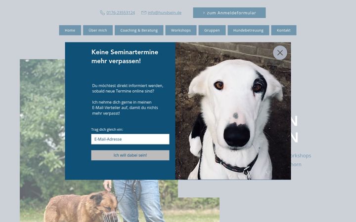 Ekrano kopija hundsein.de