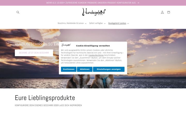 Screenshot of hundsgeleint.com
