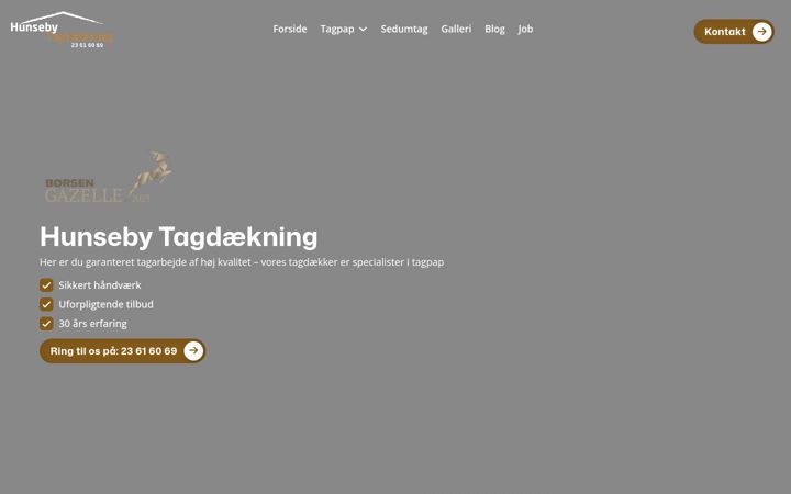 Screenshot of hunsebytag.dk