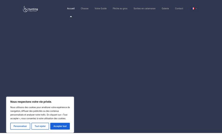 Screenshot of huntingmauritius.com