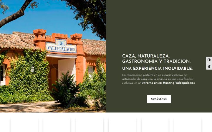huntingvaldepalacios.com