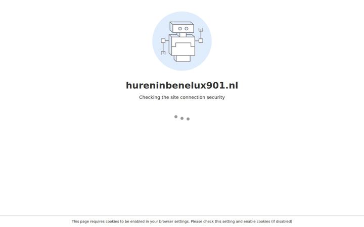 Skærmbillede af hureninbenelux901.nl