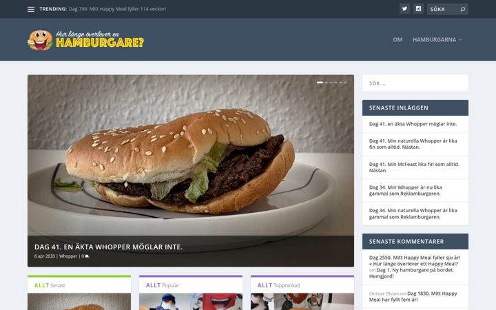 Screenshot of hurlangeoverleverenhamburgare.se