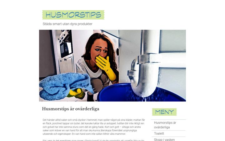 Screenshot of husmorstips.org
