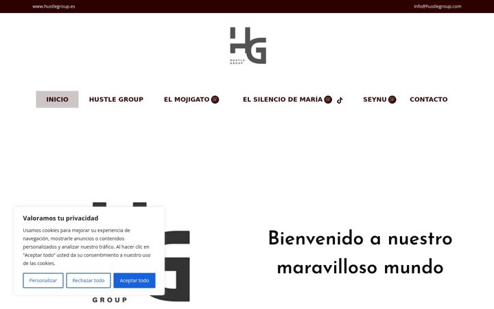 Screenshot of hustlegroup.es