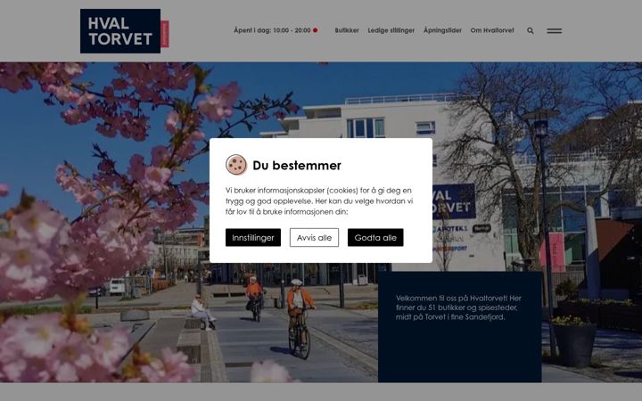 Screenshot of hvaltorvet.no