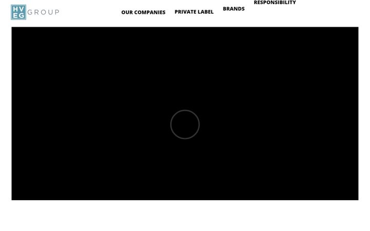 Screenshot of hveggroup.com