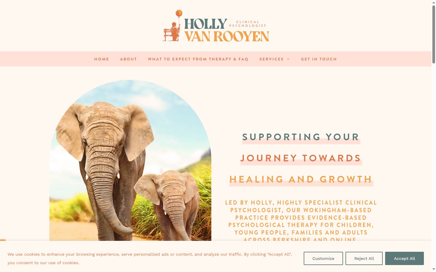 Screenshot of the consent banner shown before any interaction