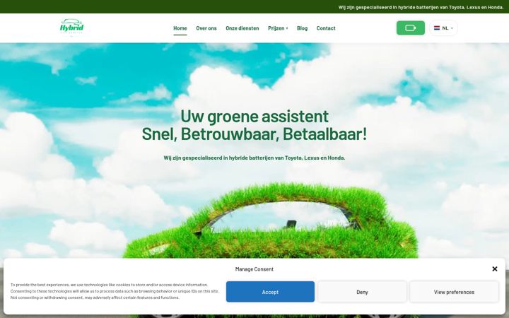 Screenshot of hybridcarservice.eu