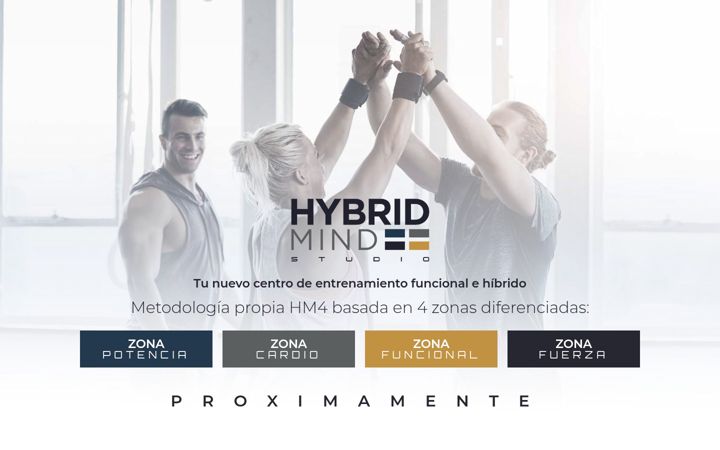 Screenshot of hybridmindstudio.es