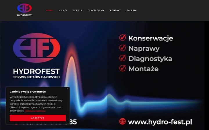 Screenshot of hydro-fest.pl