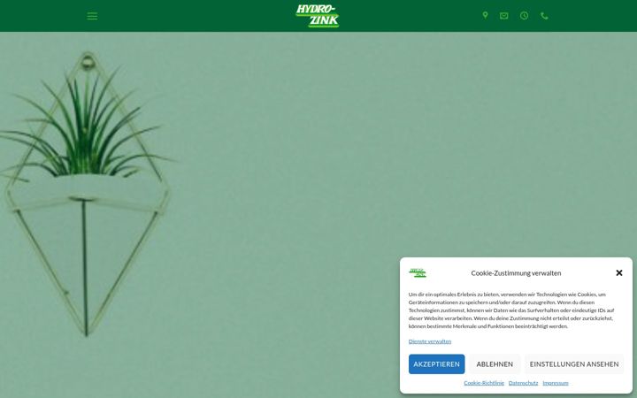 Snímek obrazovky hydro-zink.de