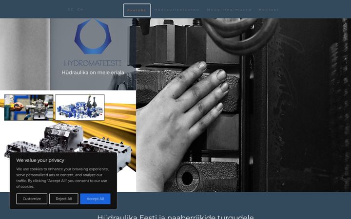 Screenshot of hydromat-est.eu