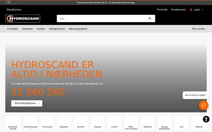 Screenshot of hydroscand.dk