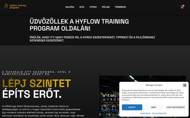 Screenshot of hyflowtp.com