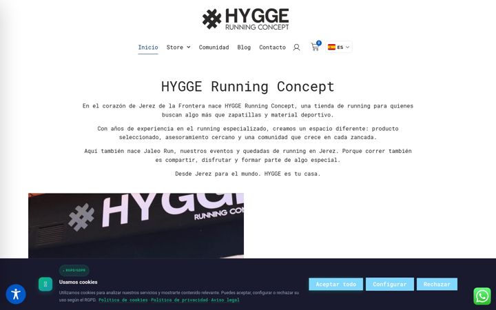 Screenshot of hyggerunningconcept.com