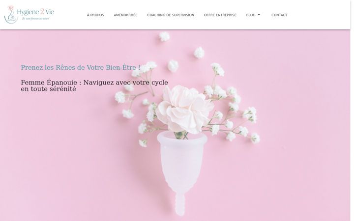 Screenshot of hygiene2vie.fr