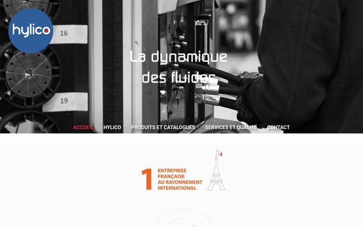 Screenshot of hylico.com