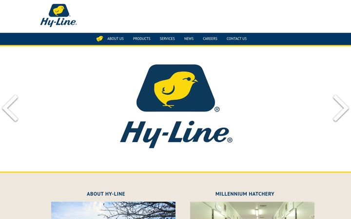 Screenshot of hyline.co.uk
