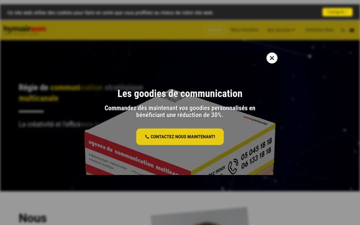 Screenshot of hymairson.com