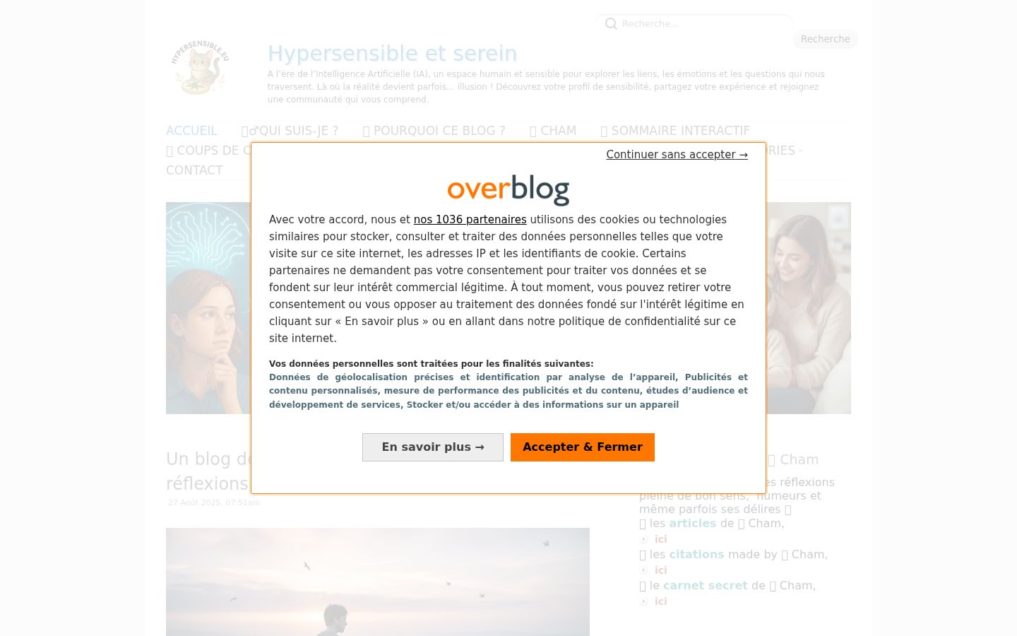 Capture d'écran de la bannière de consentement affichée avant toute interaction