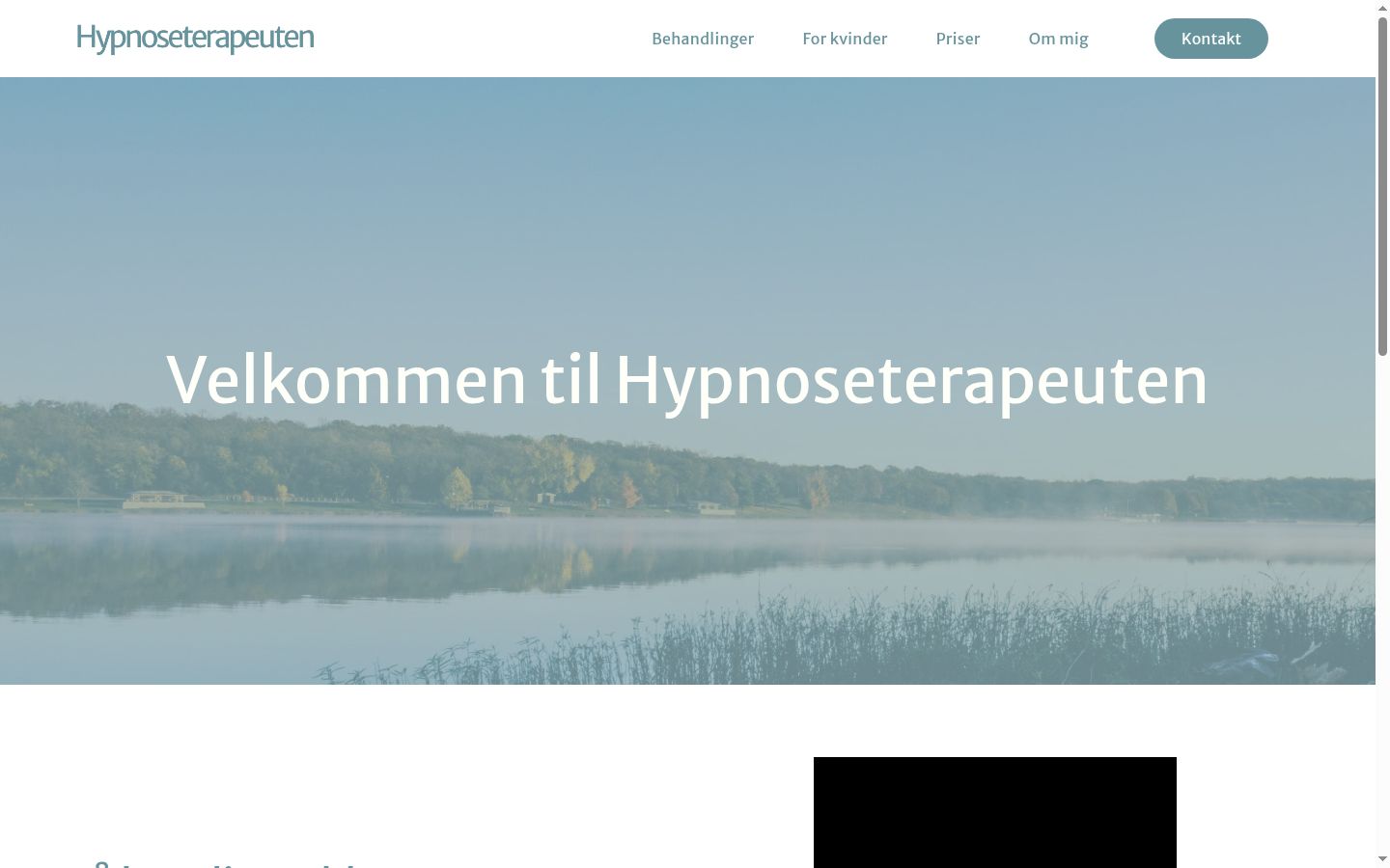 Skærmbillede af samtykkebanneret, som det blev vist før nogen interaktion