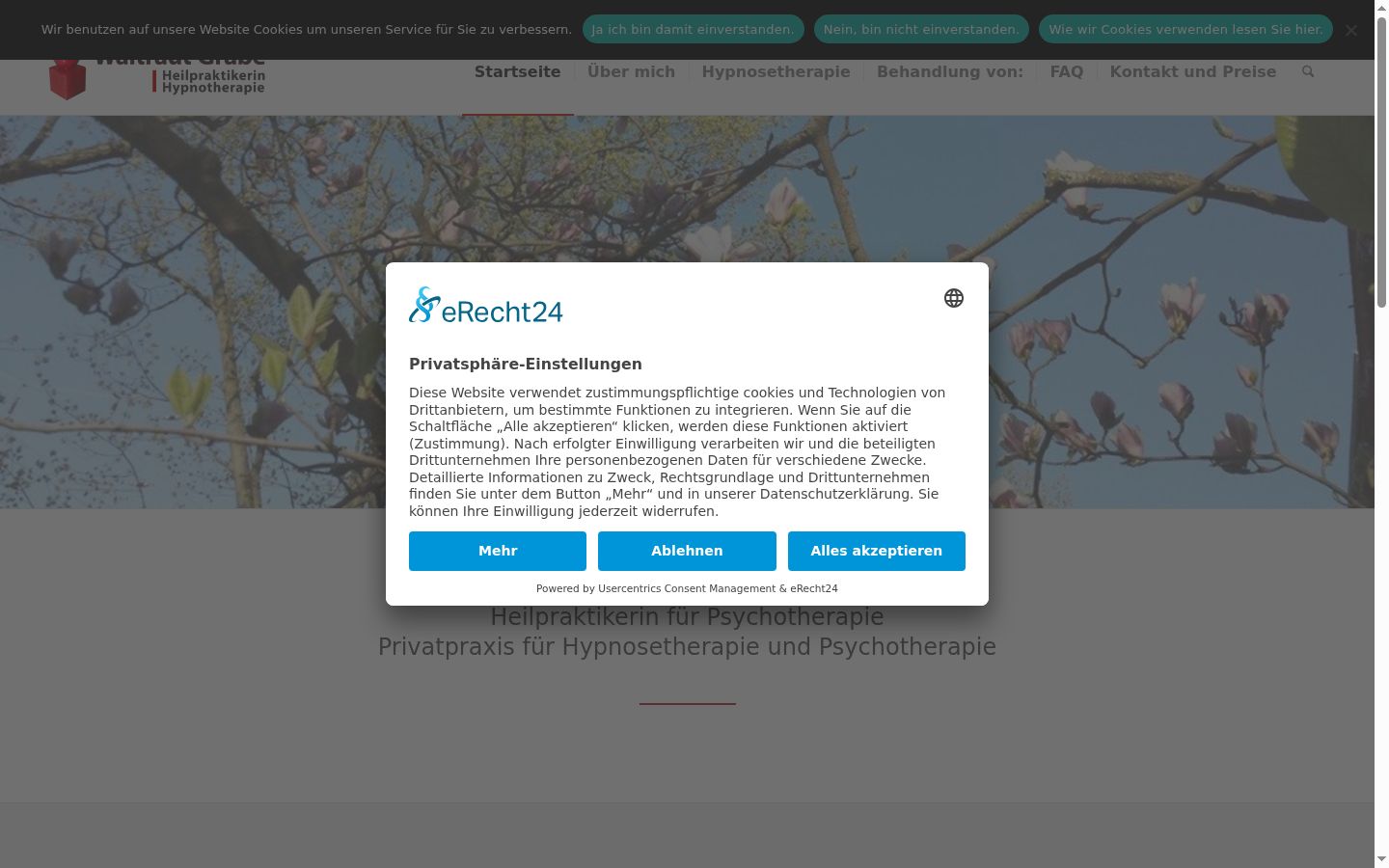 Screenshot des Einwilligungsbanners vor jeglicher Interaktion