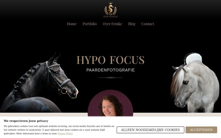 Képernyőkép: hypofocus.com