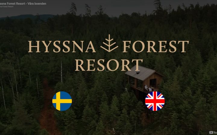 Screenshot of hyssnaforestresort.com