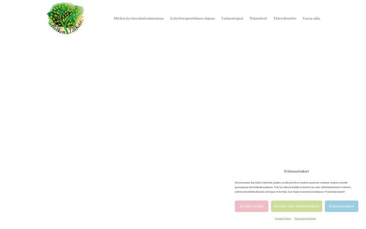 Screenshot of hyvinvointipalvelu.fi