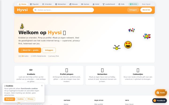 Screenshot of hyvsi.nl