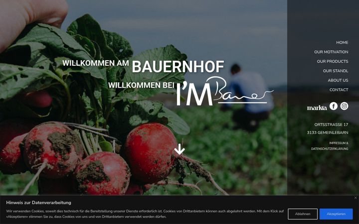 Screenshot of i-am-bauer.at