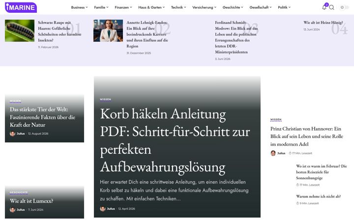 Screenshot of i-marine.eu
