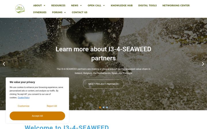 Screenshot of i3-4-seaweed.eu