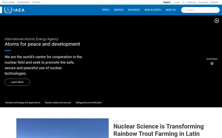 Snímek obrazovky iaea.org