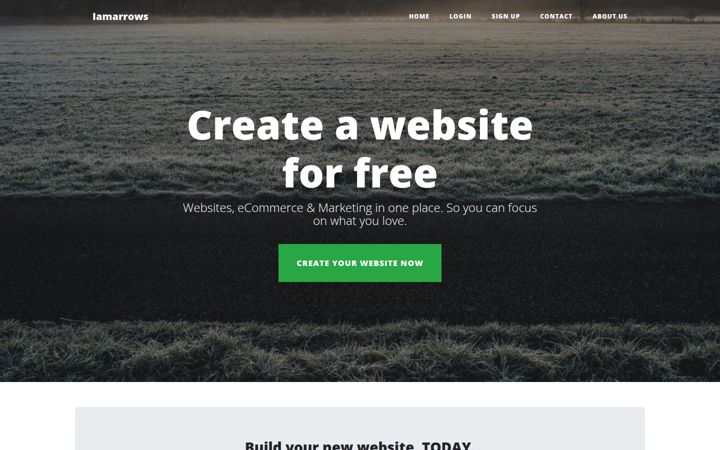 Screenshot von iamarrows.com