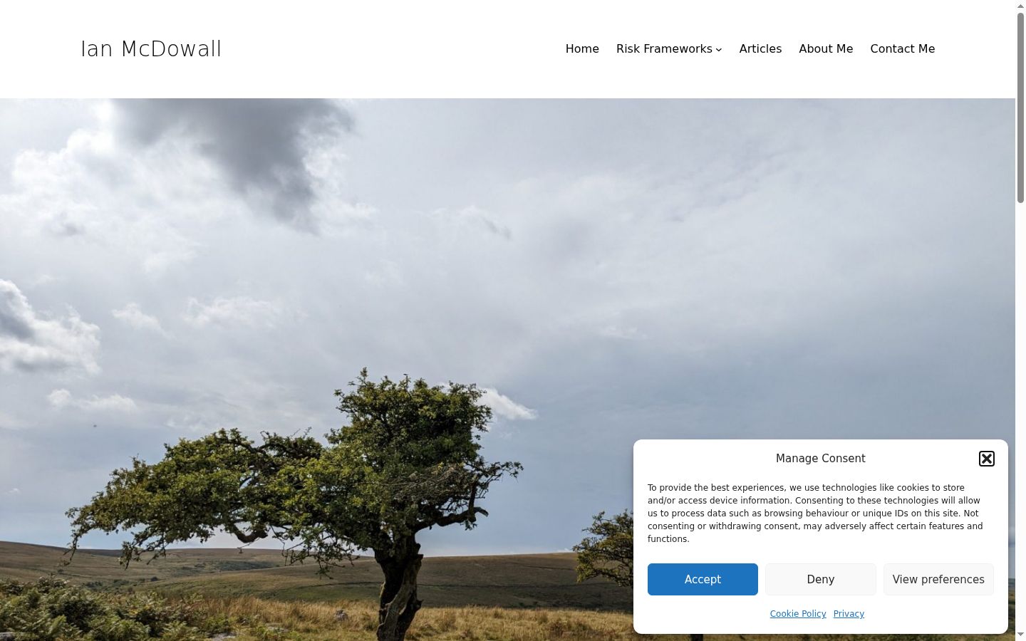 Screenshot of the consent banner shown before any interaction