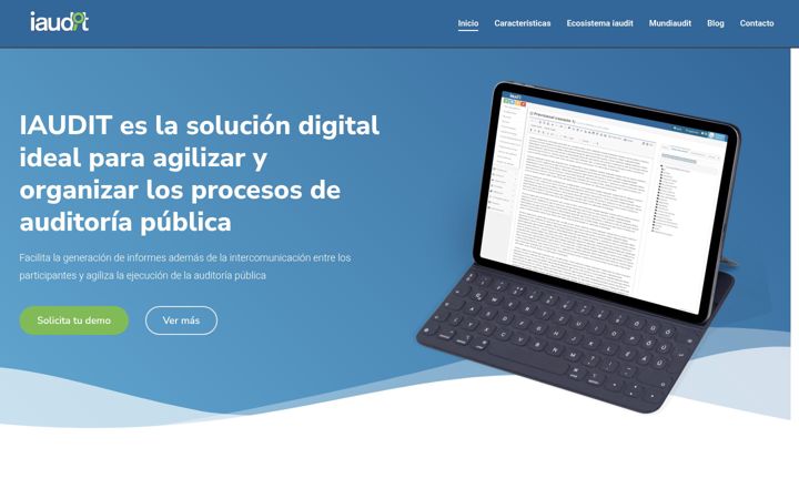 Screenshot of iaudit.net