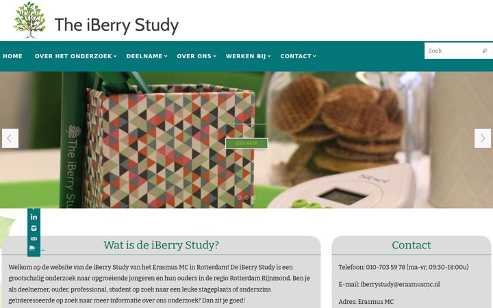 Screenshot of iberrystudy.nl