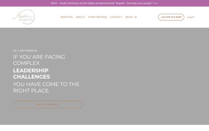Screenshot of ibeschitz.com
