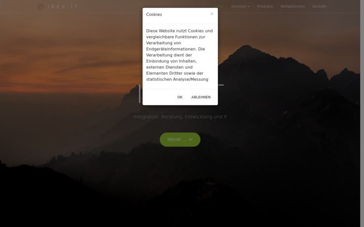 Screenshot of ibex-it.at