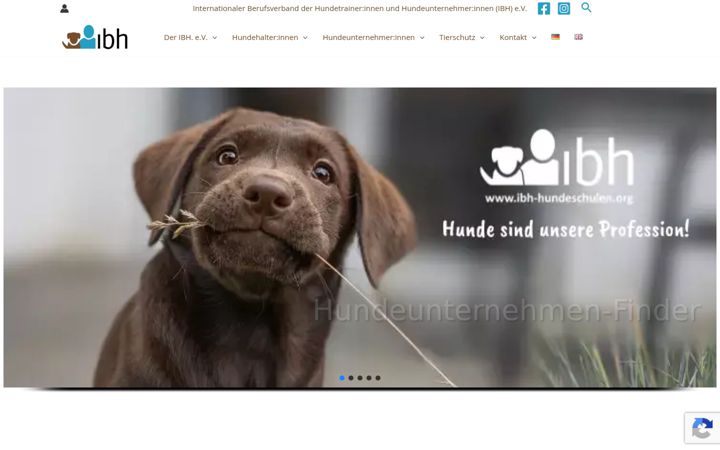 Screenshot of ibh-hundeschulen.org